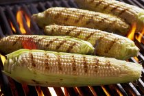 Épis de maïs doux sur barbecue — Photo de stock