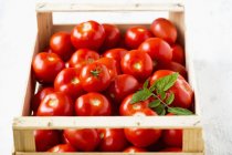 Tomates maduros em caixa de madeira — Fotografia de Stock