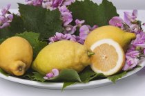 Lemons decorated with flowers — Stock Photo
