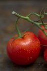 Свежевымытые помидоры — стоковое фото