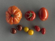 Tomates fraîches colorées — Photo de stock