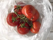 Tomates de vid recién lavados - foto de stock
