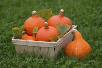 Pumpkins in wooden basket — Stock Photo
