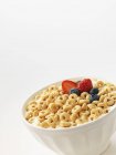 Cereales con leche y bayas - foto de stock
