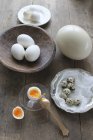 Uovo sodo in tazza d'uovo — Foto stock