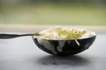 Helado de vainilla y flor de saúco - foto de stock