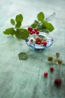 Mixed berries with leaves — Stock Photo