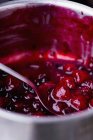 Red berry compote i — Stock Photo