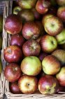 Organic apples in basket — Stock Photo