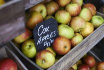 Holzkiste mit Cox-Apfel — Stockfoto