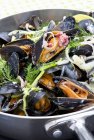 Mussels steamed in white wine with bacon — Stock Photo