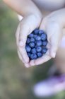 Child Hands holding blueberries — Stock Photo