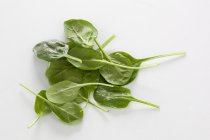Foglie di spinaci freschi — Foto stock