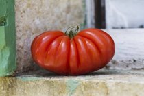 Large beefsteak tomato — Stock Photo
