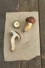 Top view of bay boletes on a piece of paper — Stock Photo