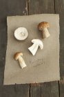 Porcini mushrooms on a piece of paper — Stock Photo