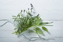 Fresh bunch of herbs with rope — Stock Photo
