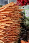 Tas de carottes fraîches — Photo de stock