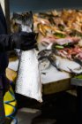 Vendedor de peixe segurando um salmão reduzido para metade — Fotografia de Stock