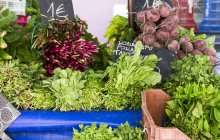 Produtos hortícolas em stand no mercado — Fotografia de Stock