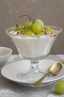 Joghurt-Müsli mit Trauben — Stockfoto