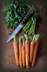 Свежая морковь со стеблями — стоковое фото