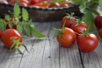 Tomates fraîches mûres — Photo de stock