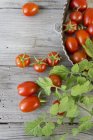 Fresh ripe tomatoes with leaves — Stock Photo