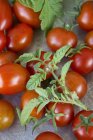Tomates frescos maduros con hojas - foto de stock