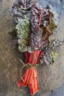 Кучка красных мангольдов — стоковое фото