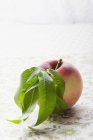 Белый персик с листьями — стоковое фото