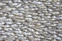 Nahaufnahme von oben Ansicht von getrocknetem Fisch Hintergrund — Stockfoto