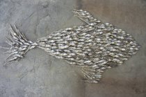 Draufsicht auf eine Fischform aus getrocknetem Fisch — Stockfoto