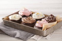 Tray of decorated cupcakes — Stock Photo