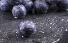 Fresh blueberries with drops of water — Stock Photo