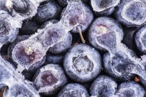 Frozen blueberries with ice — Stock Photo