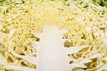 Свежая половина савойской капусты — стоковое фото