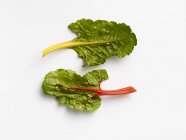 Fresh red and yellow chard leaves — Stock Photo