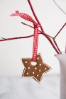 Gingerbread star hanging — Stock Photo
