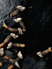 Nahaufnahme von oben von Schwanenhals-Seepocken auf schwarzer Steinoberfläche — Stockfoto