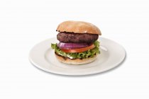 Класичний гамбургер з овочами — стокове фото