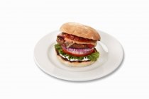 Vegetable burger with cheese — Stock Photo