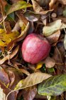 Manzana en montón de hojas otoñales - foto de stock