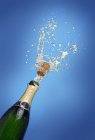 Splash of champagne on blue background — Stock Photo