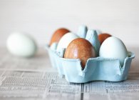 Closeup view of a carton box of brown and pastel blue eggs — Stock Photo