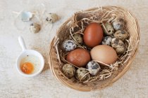 Basket of quail and hen eggs with a cracked open egg in bowl — Stock Photo