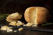 Rueda de queso Pecorino - foto de stock
