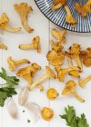 Fresh chanertelle mushrooms — Stock Photo