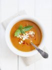 Томатный и тыквенный суп — стоковое фото