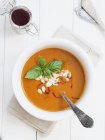 Sopa de tomate y calabaza - foto de stock